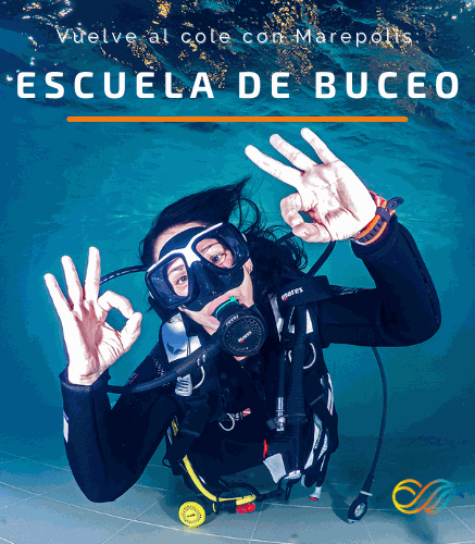Taller buceo con Ala